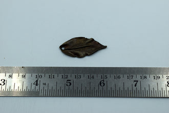 Beautiful Leaf Black Metal Charm (10 Pc)
